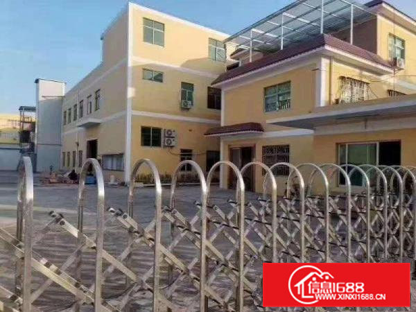 证件齐全清溪原房东小独院两层2400平出租豪华装修办公室