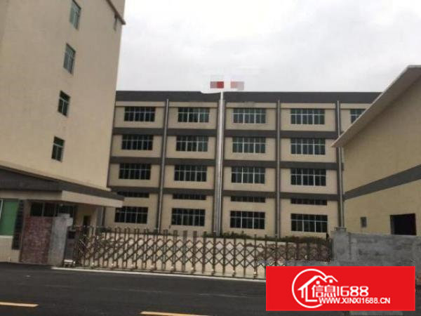 桥头新出独门独院11200平米大小可分租