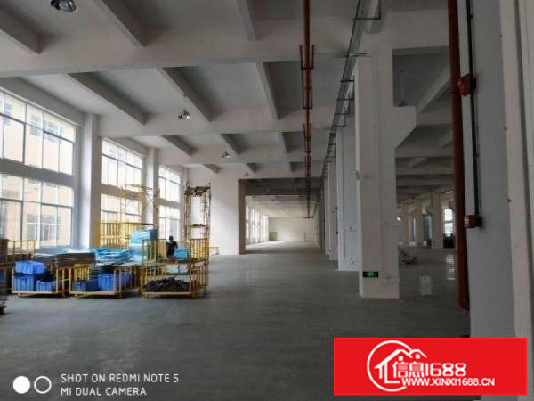 坪地镇新出标准厂房620平水电线路齐全空地免费