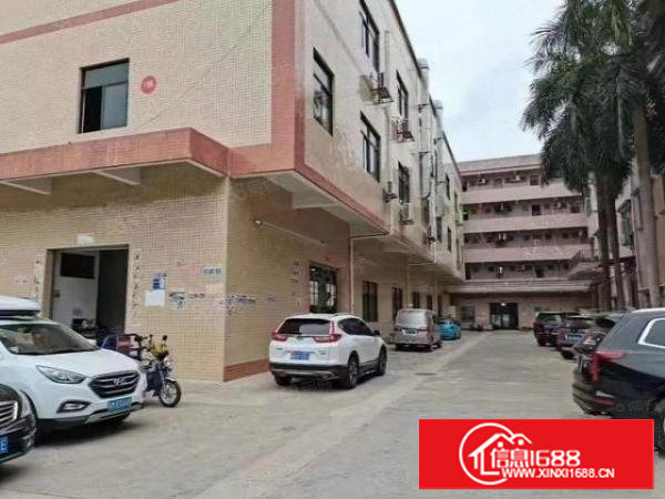 塘厦平山高速路口新出一楼5.5米高标准一楼1000平，带牛角