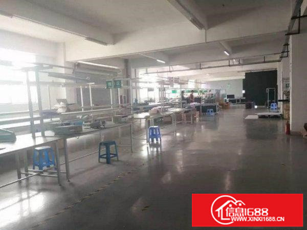 龙岗区浪背楼上1200平豪华装修厂房出租