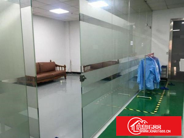 全新地评漆现成办公室