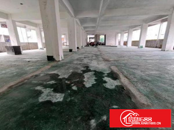 厂房1—5楼招租每层550平，13元/平，带全新电梯，可分租