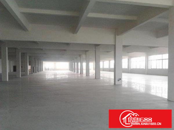 出租龙岗区浪背标准厂房一楼800平有消防喷淋