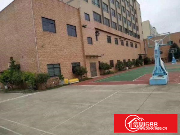 凤岗近深圳新出原房东花园式独院厂房12000平方