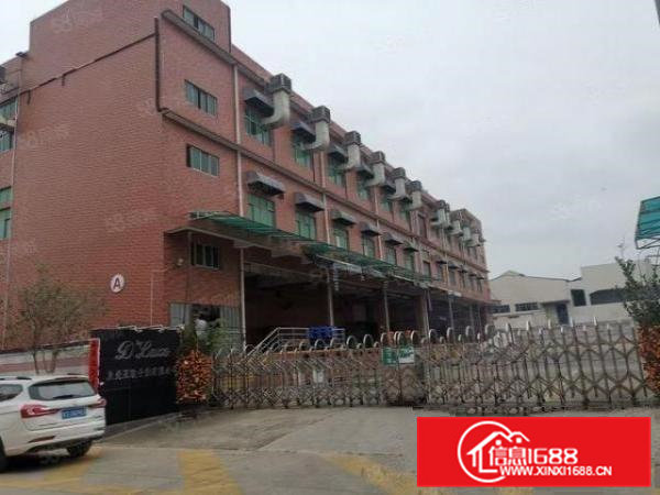 茶山镇原房东独门独院厂房5500平方招租总面积8000平