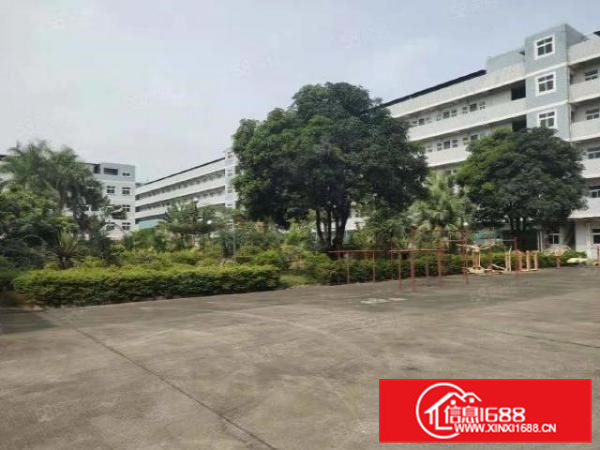 茶山镇新出原房东园区，花园式厂房可独栋分租，水宿舍按需