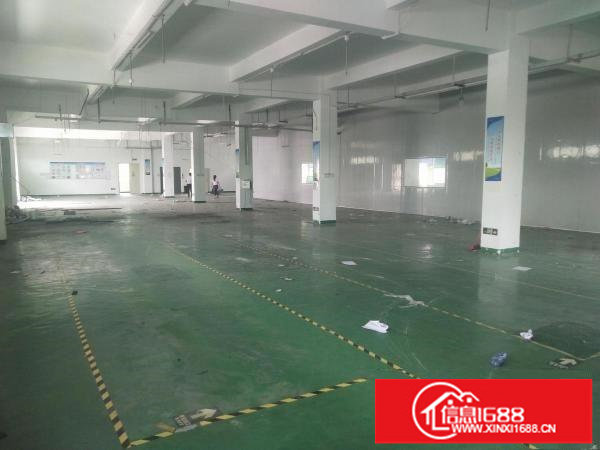 龙岗南通道边原房东独栋3000平现成办公楼出租