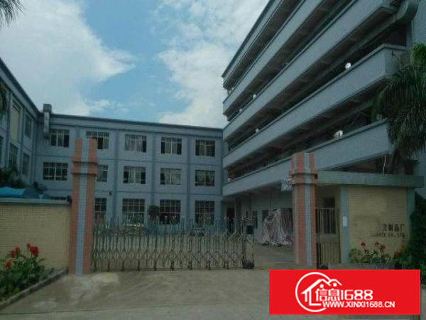 横沥新出9成新4500平标准独门独院厂房招租