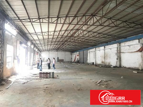 塘厦高桥路1000平方厂房有独立办公室拎包即生产烂白菜价