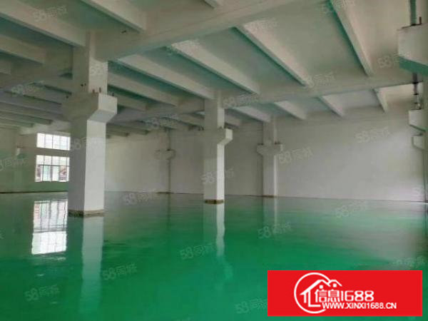 模具注塑客户看过来！200平起分租坪山碧岭沙湖带十吨行车