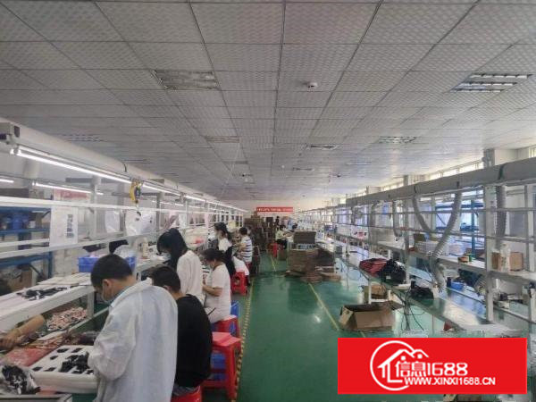 独门独院，形象好，精装修，