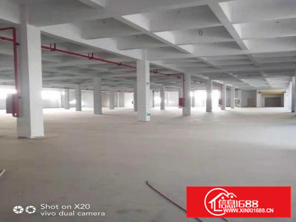 带红本全新可租可售-广东粤海装备技术产业园（含税含管理费）