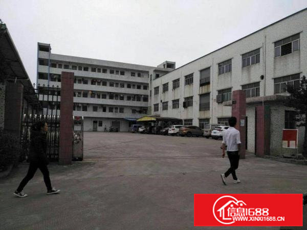 横沥带现成办公室厂房招租2000