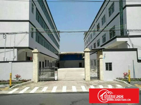 新圩约场新出原房东一楼整层面积1100平低价出租