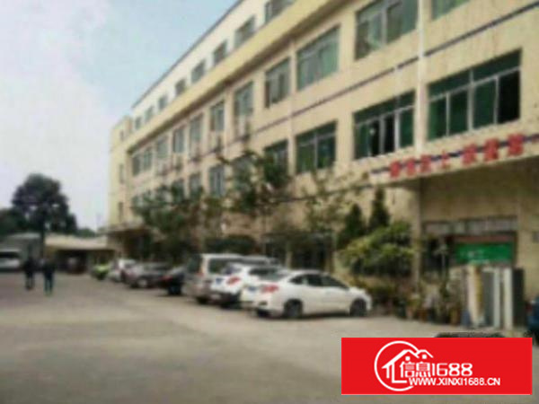 万江带装修11100平米火爆急租适合五金、模具