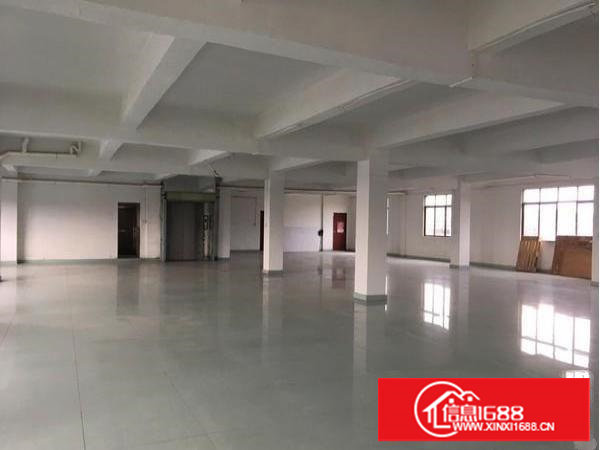 塘厦大坪2100平独院水电齐全有现成装修办公室