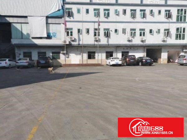 新出钢构1100平，超低价吊顶办公室拎包生产