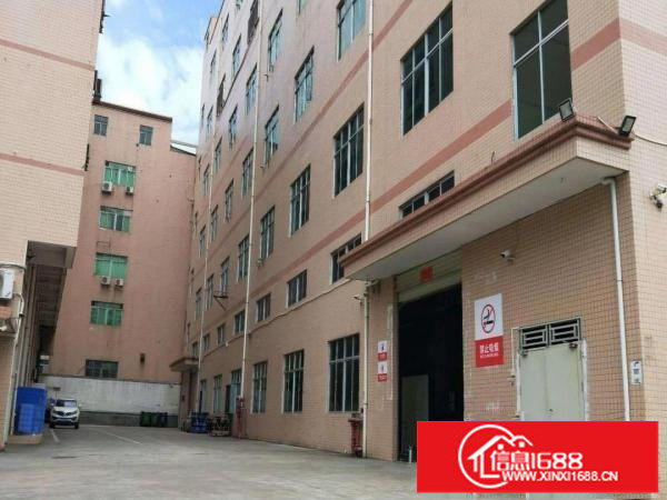 龙华清湖花半丽附近新出一楼1500平标准厂房出租