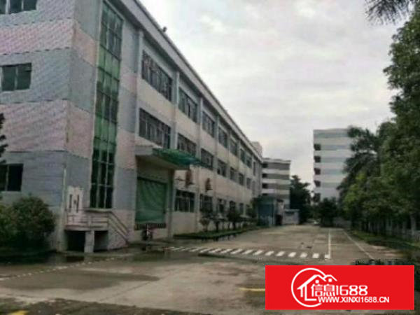 高埗工业区标准厂房出租一楼2000平方出租现成办公室水电??