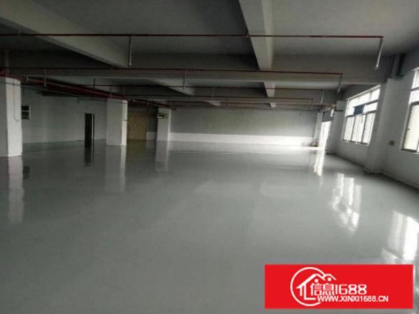 松柏朗标准厂房一楼550平方出租