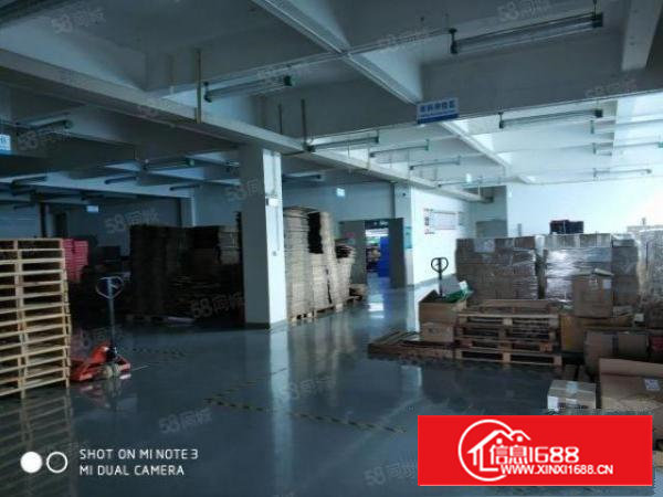 石岩料坑大道工业区楼上580平米带装修标准厂房出租