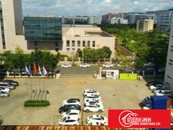 坪山大工业区新出红本厂房一楼5000平方大小分租