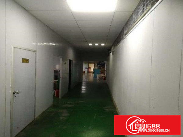 横岗原房东带电梯带装修新厂房550平650平分租