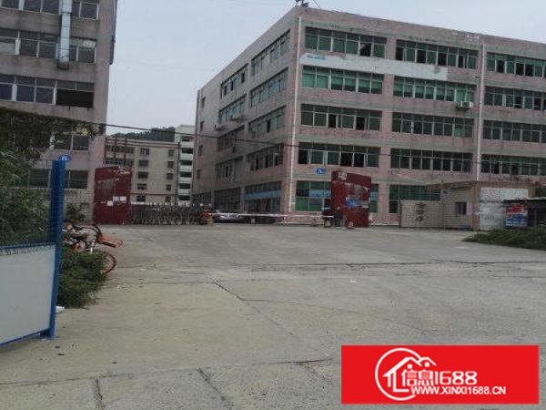 坪山碧岭金碧路430号原房东厂房4楼450平米出租450