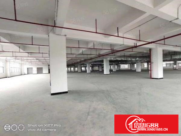 清溪三中全新重工业厂房,12元起租,500可分。周边好招工