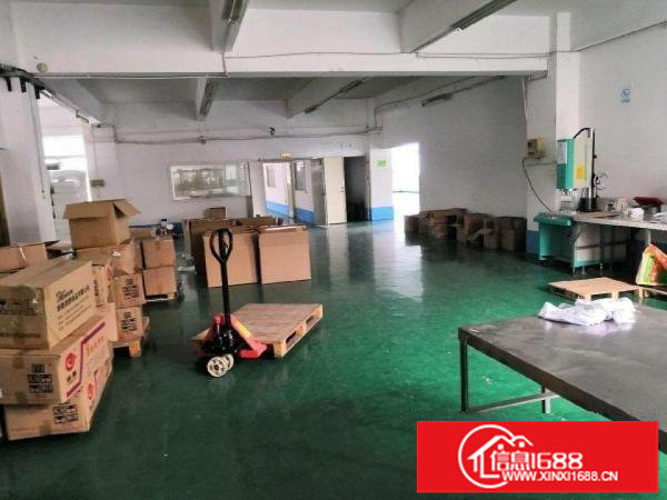 龙岗中心城龙岗区龙东社区厂房1750平米