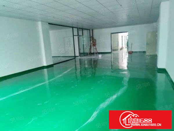 大浪新百丽附近一楼厂房560平和780平，全新精装修，空地大