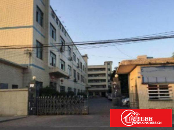 万江石美标准厂房分租楼上2、3楼2000平出租