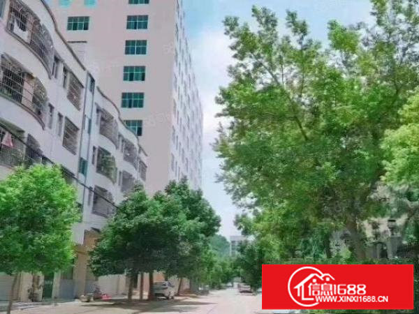 厂房龙岗坪地2000平一楼标准厂房，层高6.5米，带消防喷淋