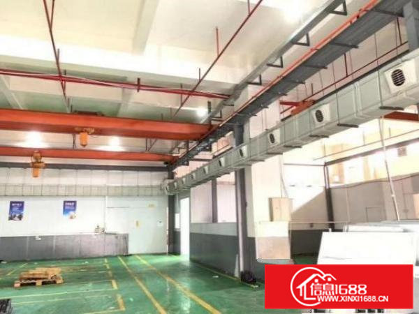 清溪青皇村1楼600平带办公室，原房东，可