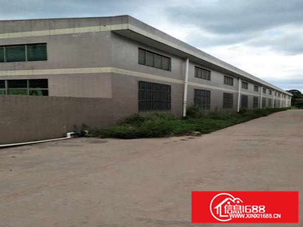 9000平方钢结构厂房出租独门独院