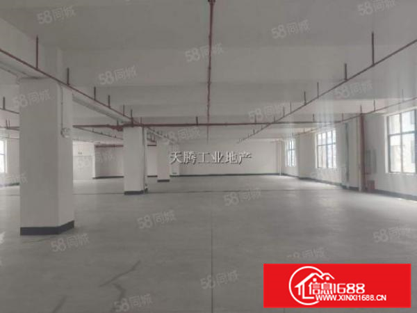 全新厂房面积2600方，中高9米，滴水8米钢结构