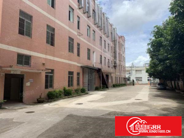 横岗主干道边上独门独院厂房出租