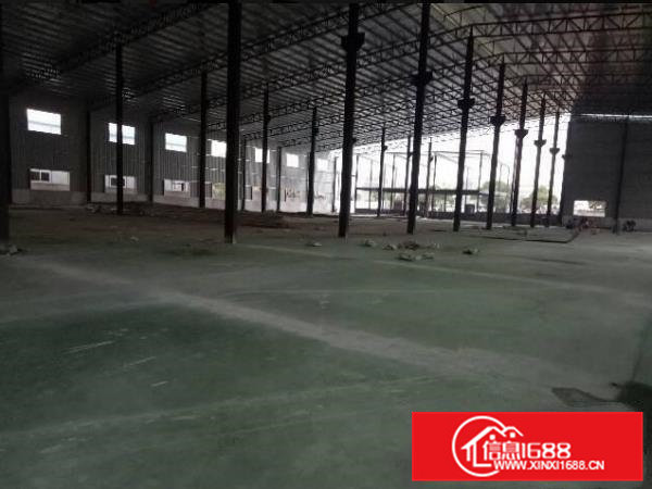 常平新建10米高单一层8800平方独院厂房招租