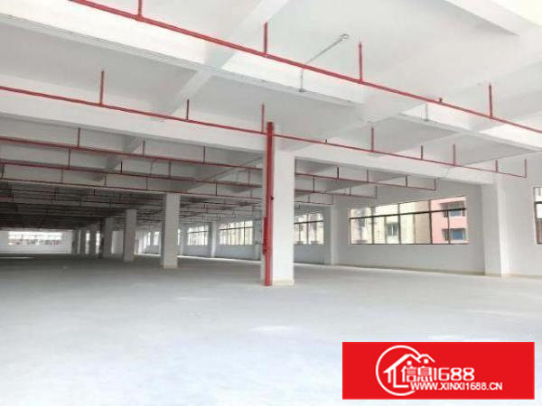 凤岗全新独院厂房出租3万平米也可做电商仓库