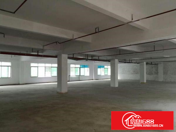 高埗500-5000平方厂房招租有电梯！易招工，适合做任何行