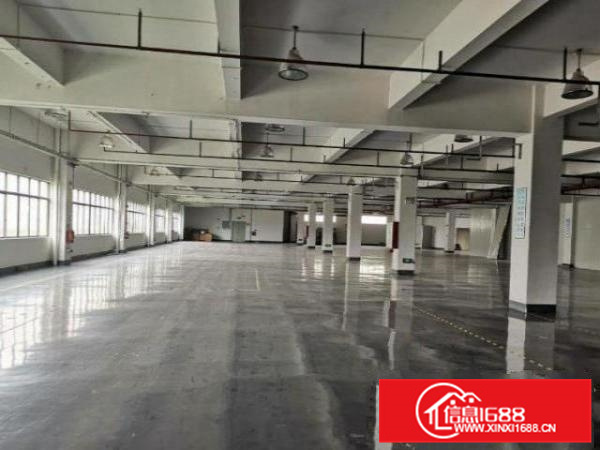 丹灶仙湖1楼1000平厂房出租