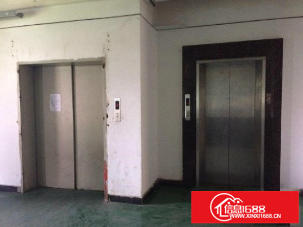 横沥田坑现有独门独院3000平方出租可分租