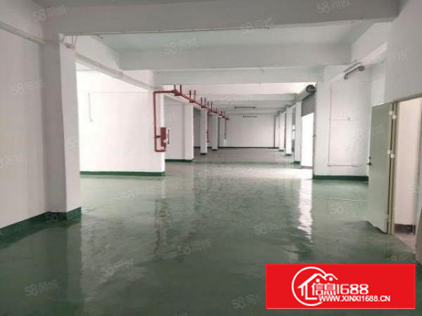 西乡,鹤州,洲石路旁大型工业区一楼660平,310平厂房