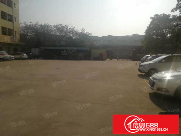 六约金塘大型工业园新出红本厂房一楼整层1900平高度6.5