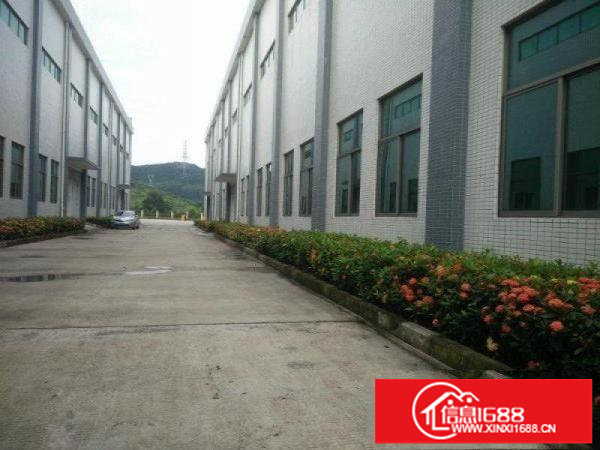 坪山一楼滴水12米带牛角厂房800平招租