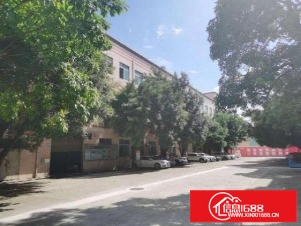 桥头镇原房东带红本独院厂房总面积11500平