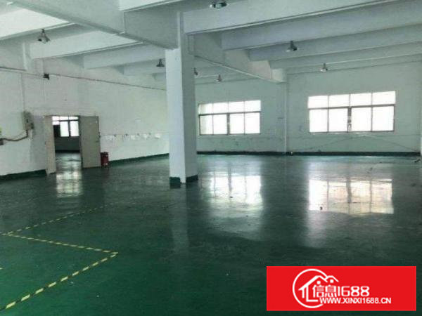 企石镇霞朗村急租楼上厂房500平方，有现成办公室