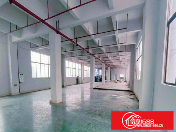金凤凰空出精装修带喷淋标准厂房6楼2000