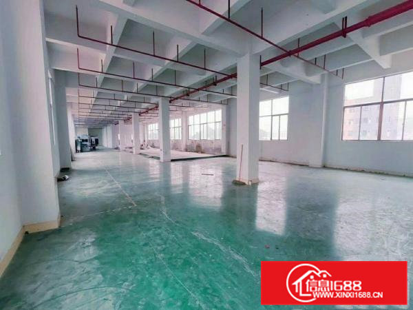 金凤凰空出精装修带喷淋标准厂房6楼2000